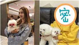 蔡依林。（圖／翻攝自蔡依林IG）