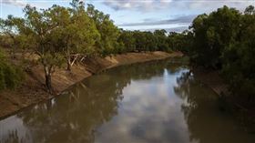 名家專用／草根影響力新視野（勿用）