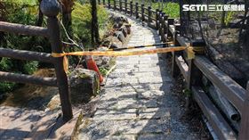 台北市陽明山竹子湖發生5名登山客慘遭蜂螫。（圖／翻攝畫面）