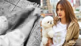 蔡依林。（圖／翻攝自蔡依林IG）