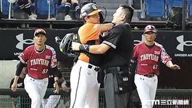 ▲統一獅三壘手郭阜林遭黃子鵬觸身球、單場第3次，兩隊爆發第2次板凳清空衝突。（圖／記者劉彥池攝影）