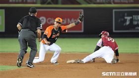 ▲統一獅二壘手陳重廷觸殺樂天桃猿三壘手林立。（圖／記者劉彥池攝影）