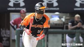 ▲統一獅外野手張偉聖。（圖／記者劉彥池攝影）