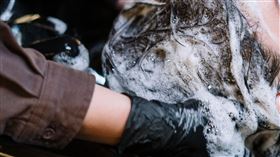 相信許多長頭髮的女生為了減少洗頭髮次數而沒有習慣每天洗頭，甚至連洗澡都不列入每天的例行公事。日前就有女大生在Dcard上以「大家能多久洗一次澡呢」為題發文，文章一貼出便引發大批網友留言討論。 圖／翻攝自pixabay https://www.pexels.com/zh-tw/search/bath/