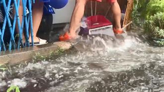 豪雨彈襲台東　家門快淹了民眾狂掃水