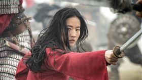 ▲花木蘭（圖／翻攝自百度百科）