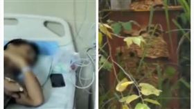 貴州,上廁所,蜜蜂,蜂窩,螫傷（圖／翻攝自梨視頻）