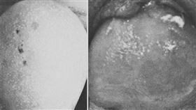 中國醫藥大學新竹附設醫院（圖／中國醫藥大學新竹附設醫院提供）