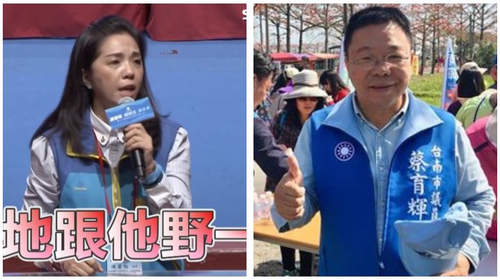 藍營又內鬨？她討故宮國寶挨轟喊爽的