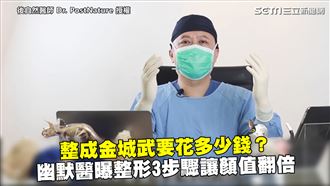 整成男神價格曝　醫提整形受用3步驟