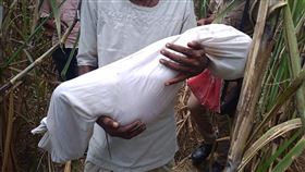 家族,仇人,女童,田野,殺害