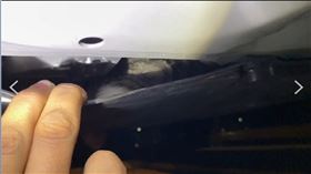 貓咪誤闖引擎室