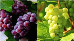 紫葡萄,青葡萄,翻攝自pexels