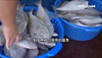 為何釣客搏命拚下竿？漁民揭密這件事