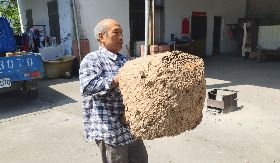 布農族獵人吉呀努已摘15個虎頭蜂窩