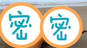 海灘上出現一個浮木，上頭長滿密密麻麻的觸手。（圖／翻攝自youtube）