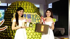 新北文旦（新北市農業局提供）