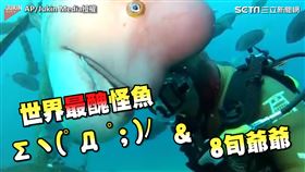 ▲他倆的友情長達25年之久！（圖／AP/Jukin Media授權）