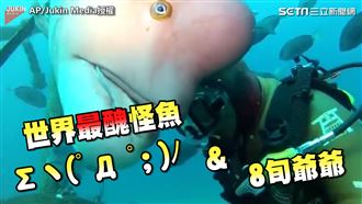 8旬爺潛海底神社　吻怪魚守25年情