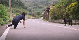 十二夜 2,領養,動物協會,動保,台灣狗狗節,台灣　圖／牽猴子提供