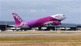 樂桃航空宣布將恢復國際線航班。（圖／樂桃提供）