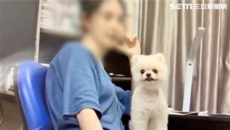 韓女被搜索飆髒話　北市警回嗆這句話