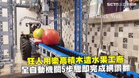 狂人用樂高積木造水果工廠　全自動機關5步驟即完成網讚翻
