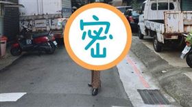 日本女星武田玲奈（圖／翻攝自rena_takeda IG）