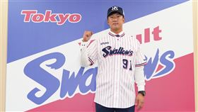 ▲日本職棒養樂多隊歲內宏明。（圖／翻攝自養樂多隊推特）
