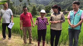 蔡培慧踏勘草屯重劃區農水路　允助改善行政院中部聯合服務中心執行長蔡培慧（右2）9日會同相關單位人員踏勘南投縣草屯鎮雙冬里排水灌溉溝渠，及加老里、石川里、碧峰里農水路等處，允諾將協助改善，以改善偏鄉農業生產環境。（行政院提供）中央社記者蕭博陽南投縣傳真　109年9月9日