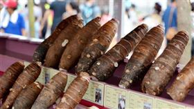 名家專用／台灣旅行趣（勿用）