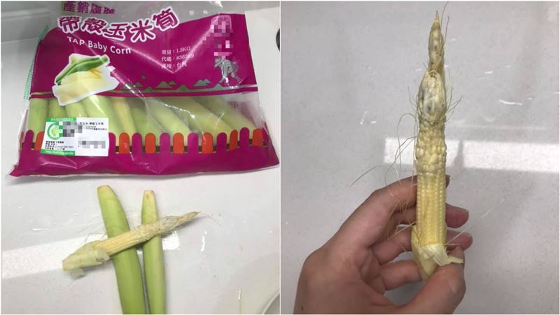 玉米筍長瘤？她想退貨網狂勸：是賺到