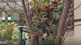 台中夫殺妻自殘　2稚兒同在屋內目睹（圖／翻攝畫面）