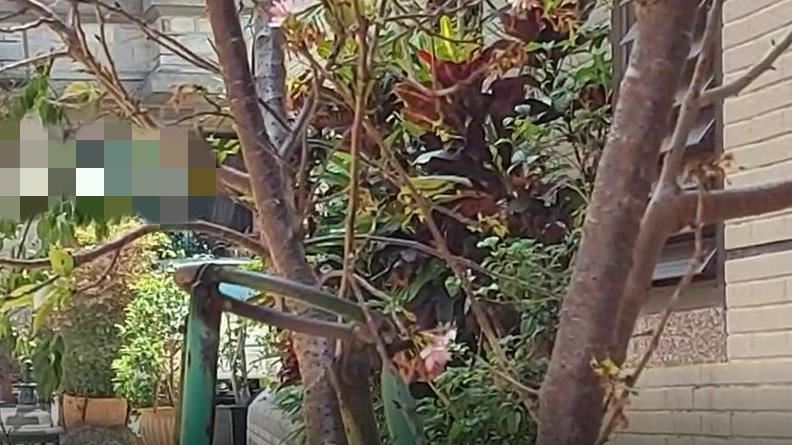 他弒妻兒喊「爸爸不要」　殺人罪起訴