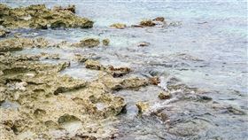 礁石 (圖/Pixabay)