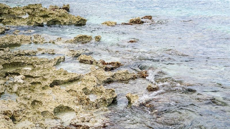 海邊礁石露出半截手指　死白還有指甲