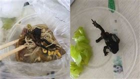 圖／翻攝自網易新聞