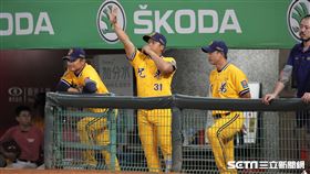 ▲中信兄弟教練陳江和向場內打暗號。（圖／記者劉彥池攝影）