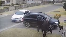 搶劫,護主,驚險,杜賓犬