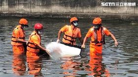 高雄,蚵仔寮,浮屍,海巡