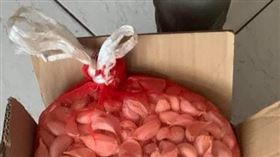 １６：９
他扛這袋在街上走　網友超羨慕：人生顛峰財富自由
圖／翻攝自「爆廢公社」臉書