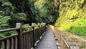 名家專用／台灣旅行趣（勿用）