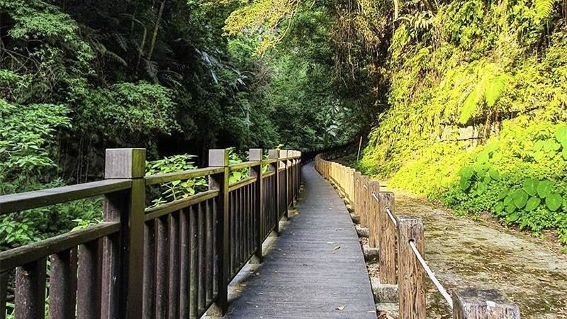 踏青好去處！獅頭山步道藏百年橋