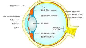 名家專用／草根影響力新視野（勿用）