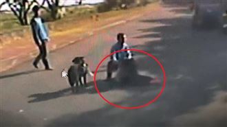 姐弟戀變調…男河堤堵女友捅11刀