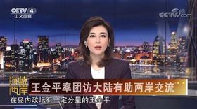 央視「海峽兩岸」李紅 (圖/翻攝自臉書)
