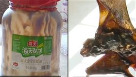 蠔油　蝙蝠（圖／翻攝自梨視頻）