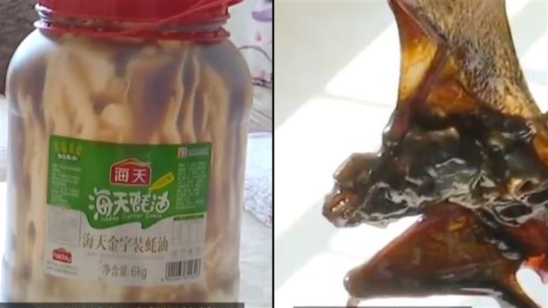 蠔油挖出蝙蝠！男崩潰：吃了3個月