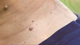 名家專用／每日健康（勿用）