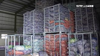 囤蒜遭調查站稽查？蒜商：哪有錢囤